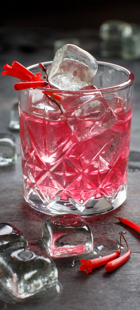 Cosmopolitan Cocktail