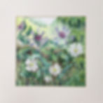 Cornflower and Daisy