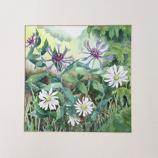Cornflower and Daisy.JPEG