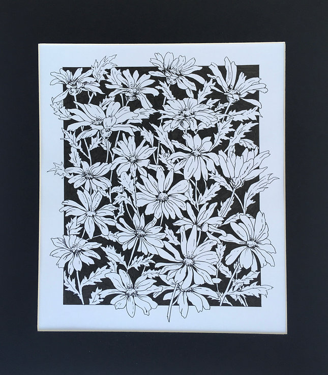 Daisies in monochrome