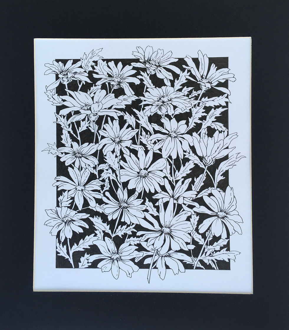 Daisies