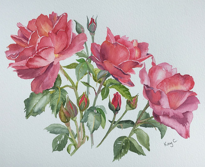 Roses