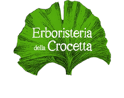 logo 2 (1)_edited_edited.png