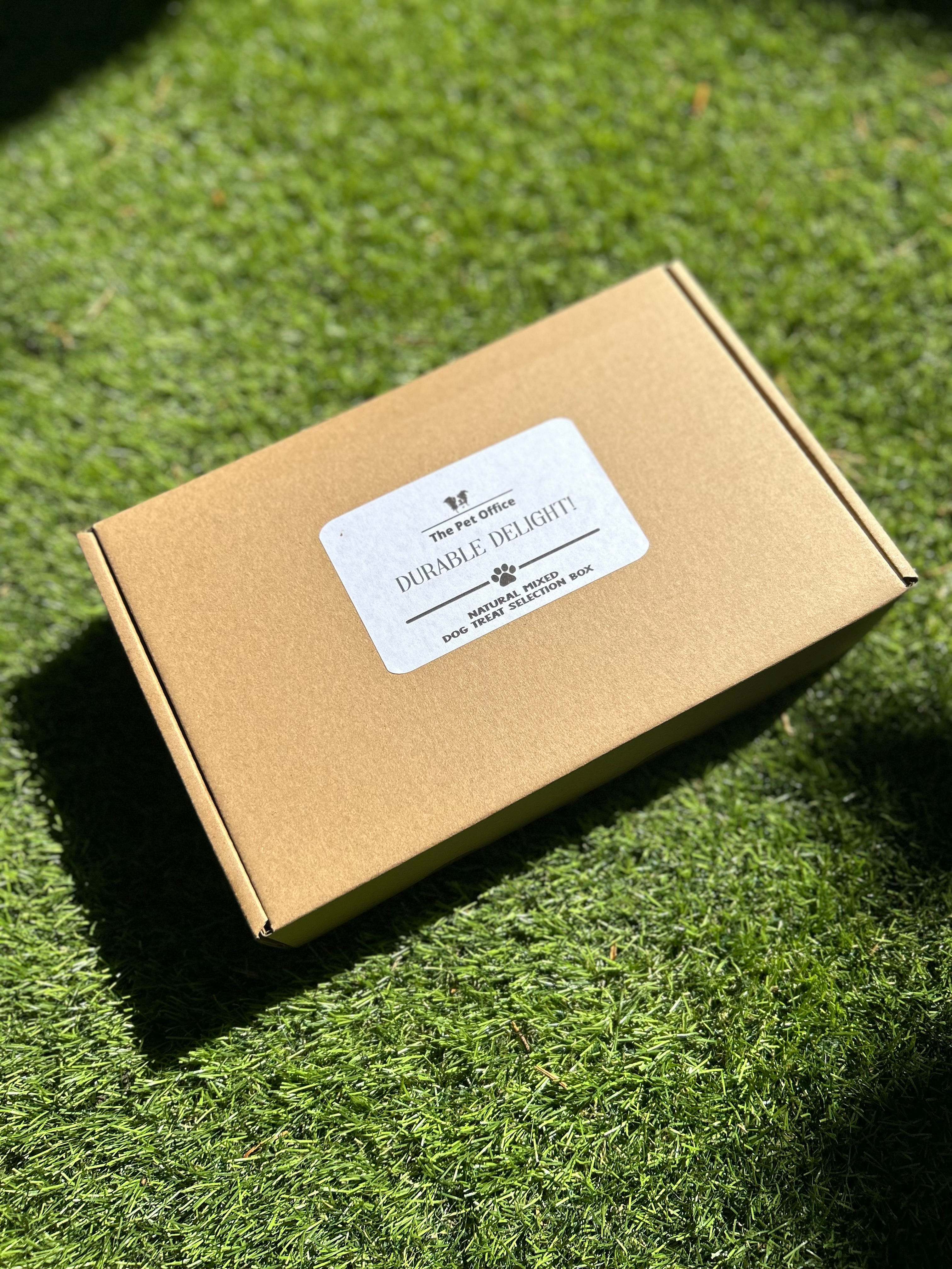 Durable Delight!            Long Lasting Treat Box
