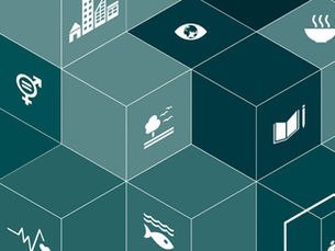 A Comprehensive Picture of SDG Impact Alignment