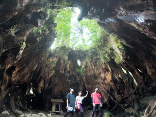 Blog 屋久島ガイドツアー