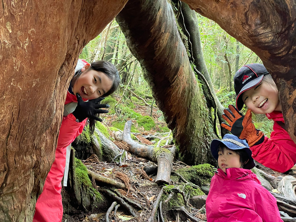 山を楽しむ子供達