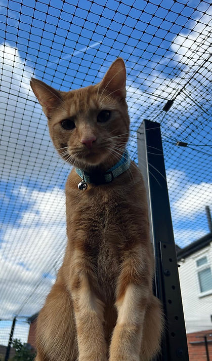 WhatsApp Image 2025-05-30 at 17.10.45_5ce0d3a7.jpg