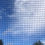 Thumbnail: Cat Proof Fence Mesh