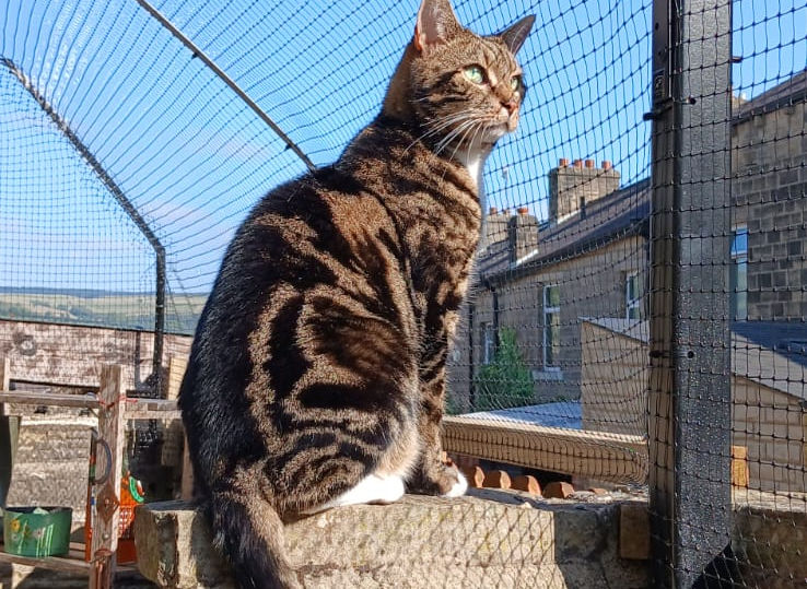 WhatsApp Image 2025-09-20 at 20.17.48_67f2e860.jpg