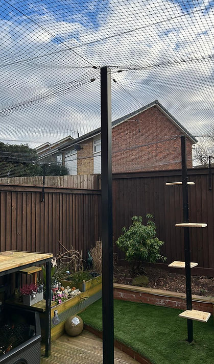 WhatsApp Image 2025-05-30 at 17.10.46_e748ffb0.jpg