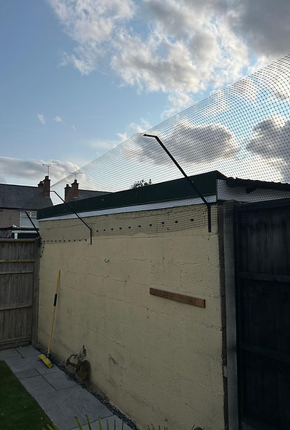 WhatsApp Image 2025-09-21 at 22.24.37_e94ac54f.jpg