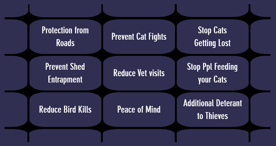 Why Cat Proof List
