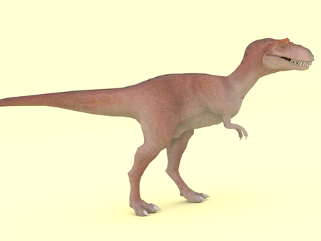 Unit 8 : Dinosaur in motion