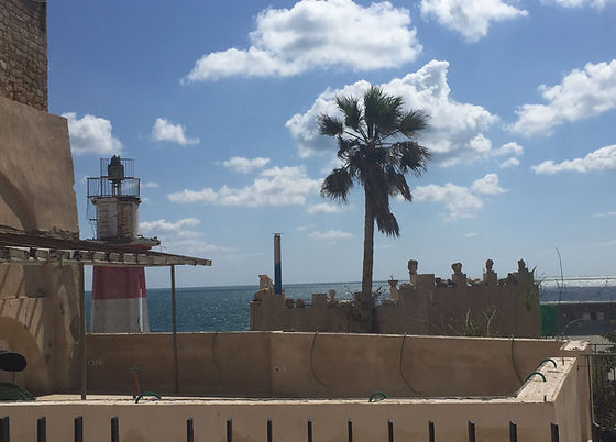 IMG_1022%20(2019_11_15%2008_49_45%20UTC)