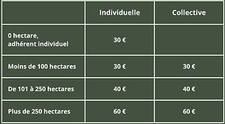 Individuelle(1)_edited.jpg