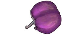 Eggplant: Indian Variety