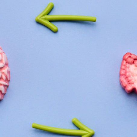 Stress and Your Gut: The Hidden Conversation Happening Inside Your Body