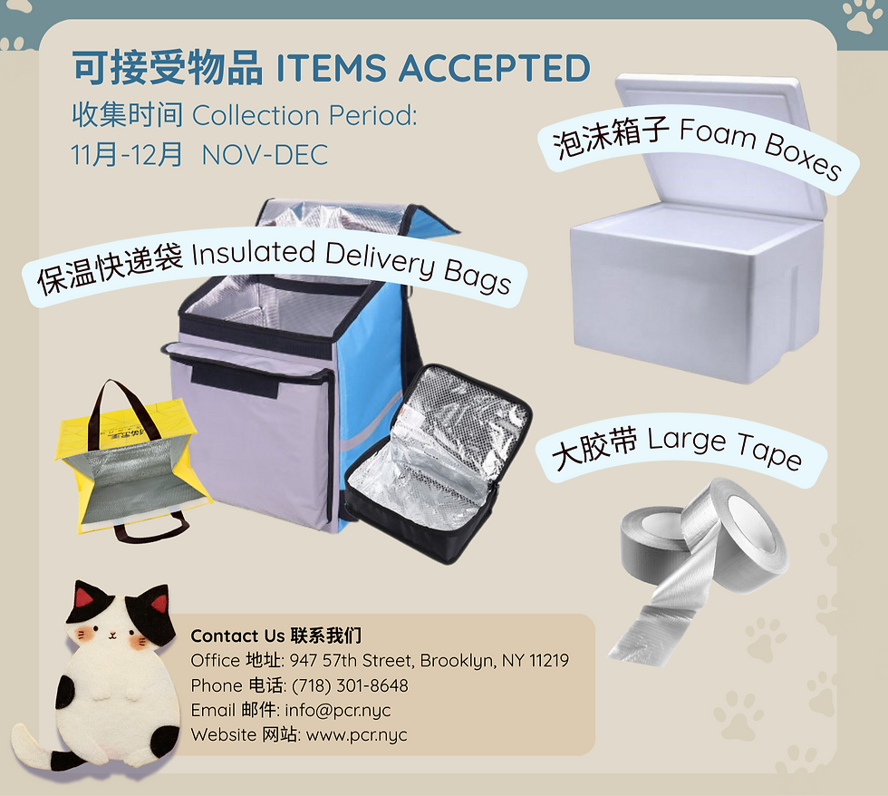 Winter Cat Shelter Charity Project 寒冬猫窝公益行动