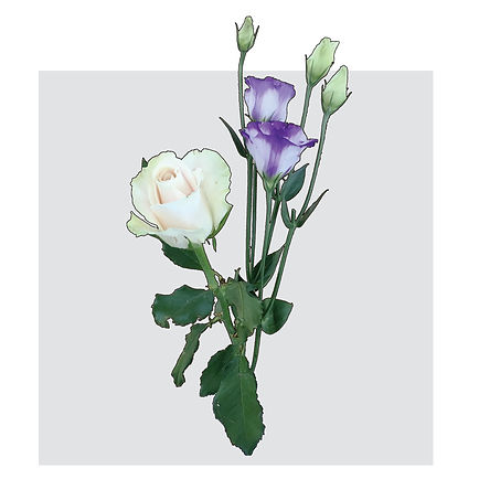 flower01.jpg