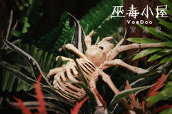 密室逃脫｜巫毒小屋