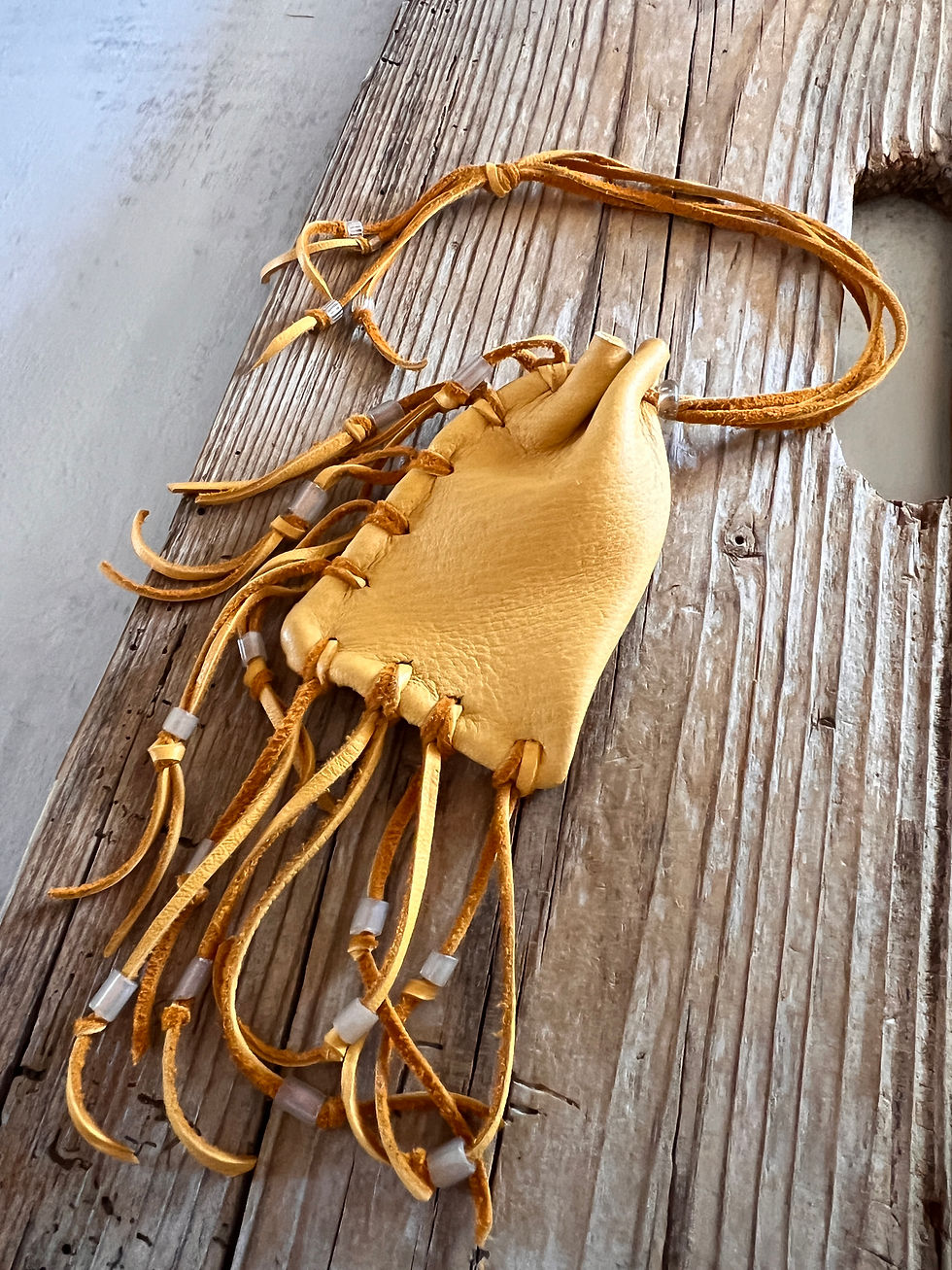 Thumbnail: Turtle Fetish Nescessity Bag