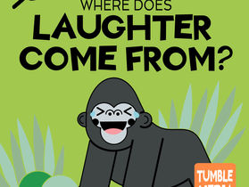 Where Does Laughter Come From?