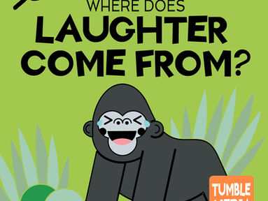 Where Does Laughter Come From?
