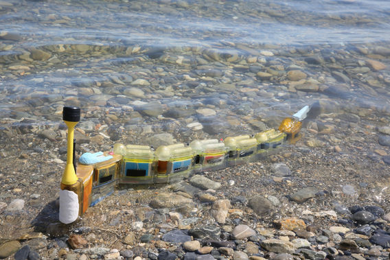 How to Build a Robotic Eel