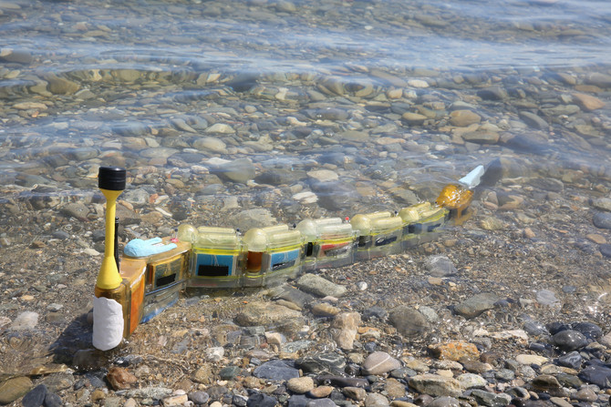 How to Build a Robotic Eel