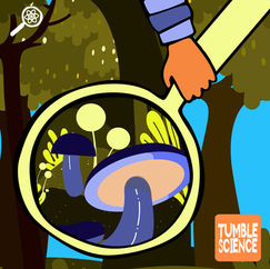 A cartoon holding a magnifying glass showing a mushroom on a forest floor.