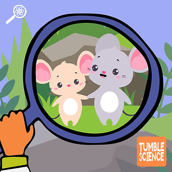 Cartoon mice in a magnifying glass, smiling in a green outdoor setting. A hand holds the glass. "Tumble Science" logo visible.