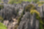 Another photo of stone forest. Steps and a path are present.