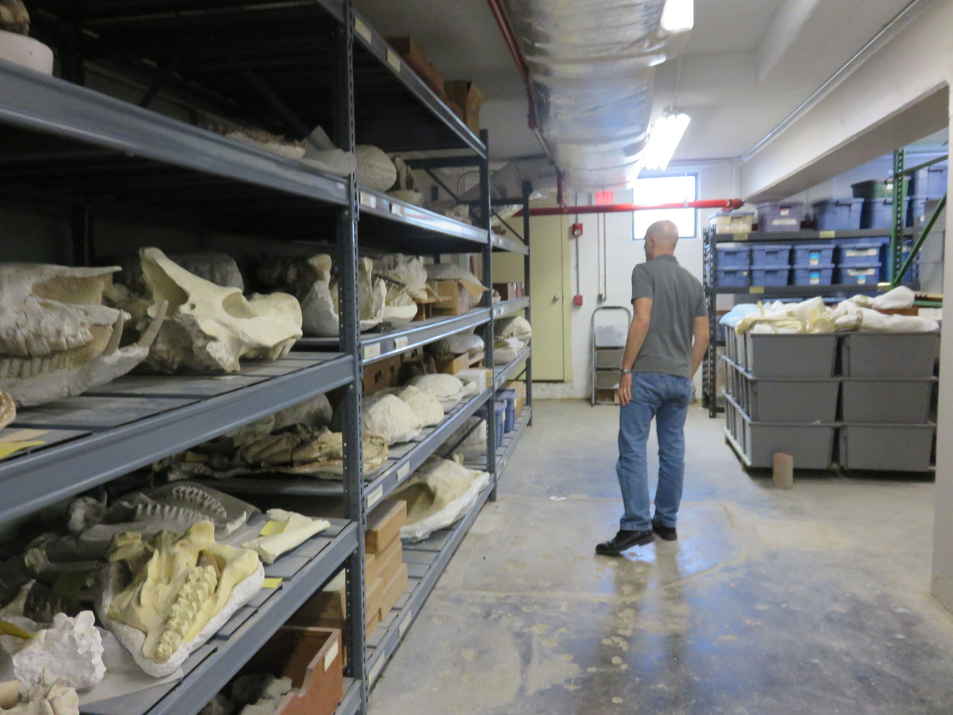 Basement
