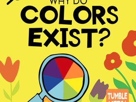 Why Do Colors Exist?