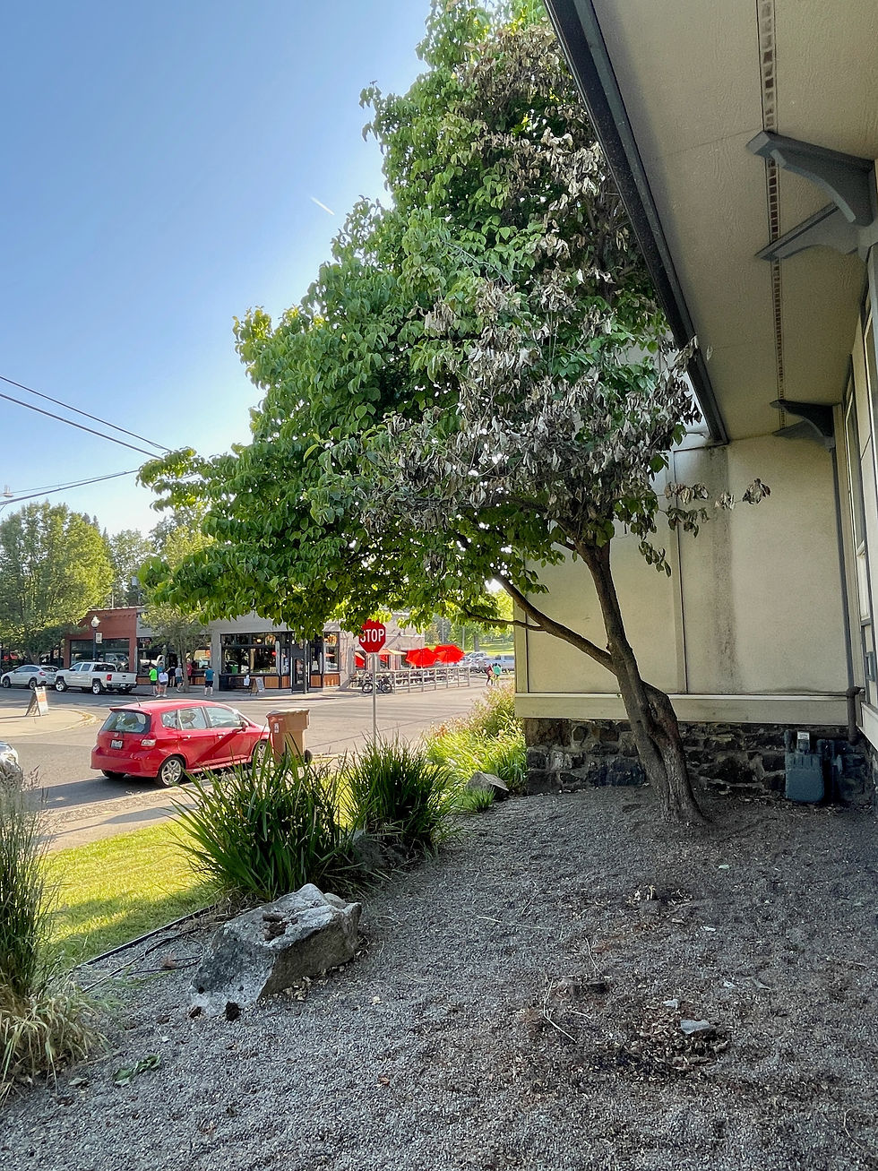 Bartender Acts Quickly, Puts Out Fire at Spokane Temple