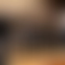 BCSF, San Jose to Host Grateful Crane Shows