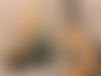 Ikebana Grand Master Kayoko Fujimoto Turns 100