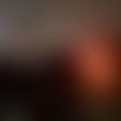 Arson Fire at Seattle Betsuin Destroys Archives; Man Arrested