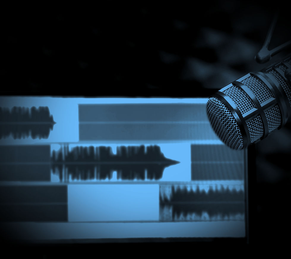 RE320 Voiceover (Edited)