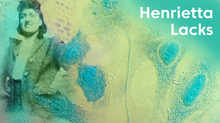 Henrietta Lacks
