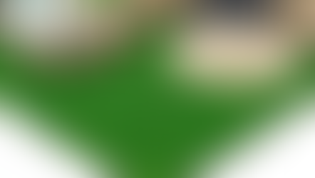 Verde Eterno y sin Esfuerzo: Guía Rápida de Mantenimiento Evergreen para tu Grama Sintética