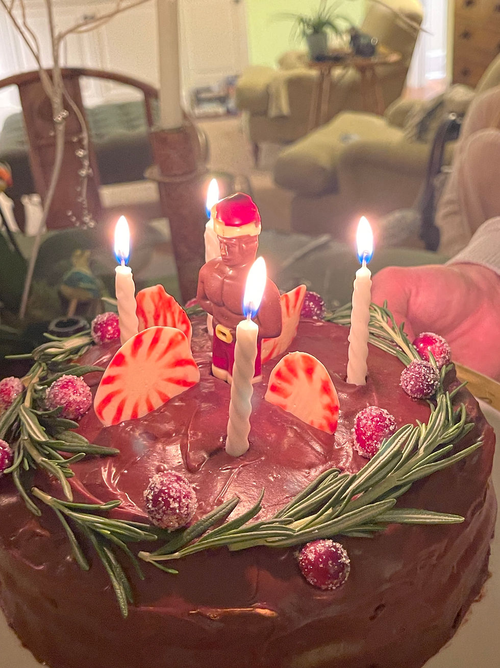 Hawkins Christmas cake extravaganza!