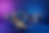 colorful group shot_res.png
