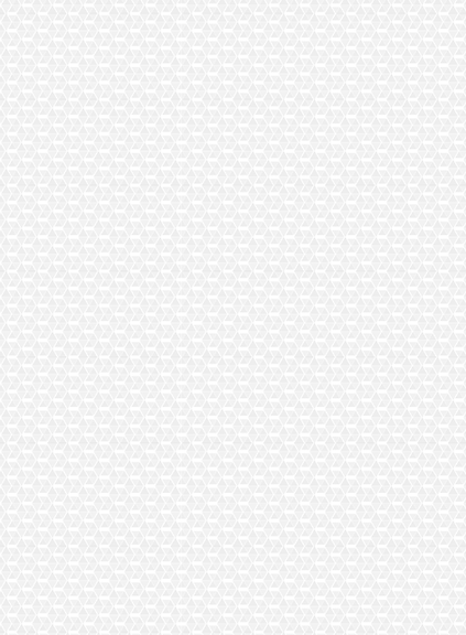 fondo-04-04.png