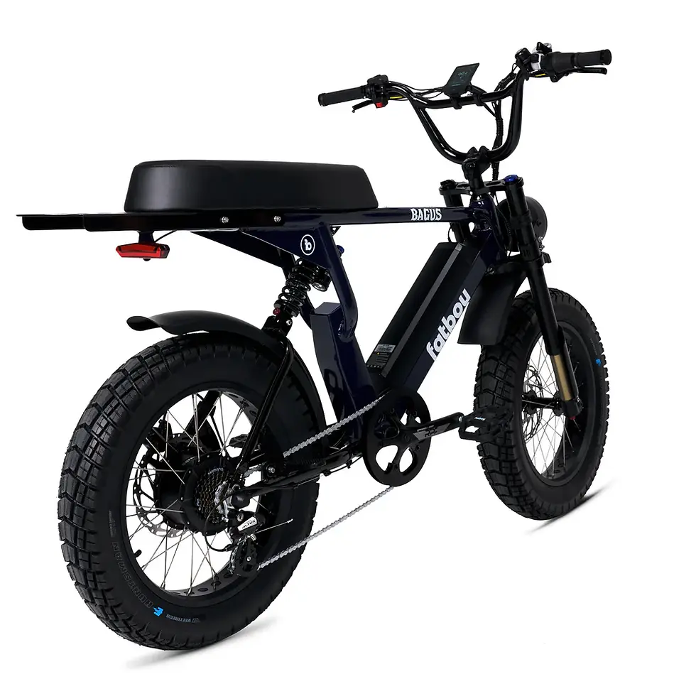 Thumbnail: The Bagus V2 eBike