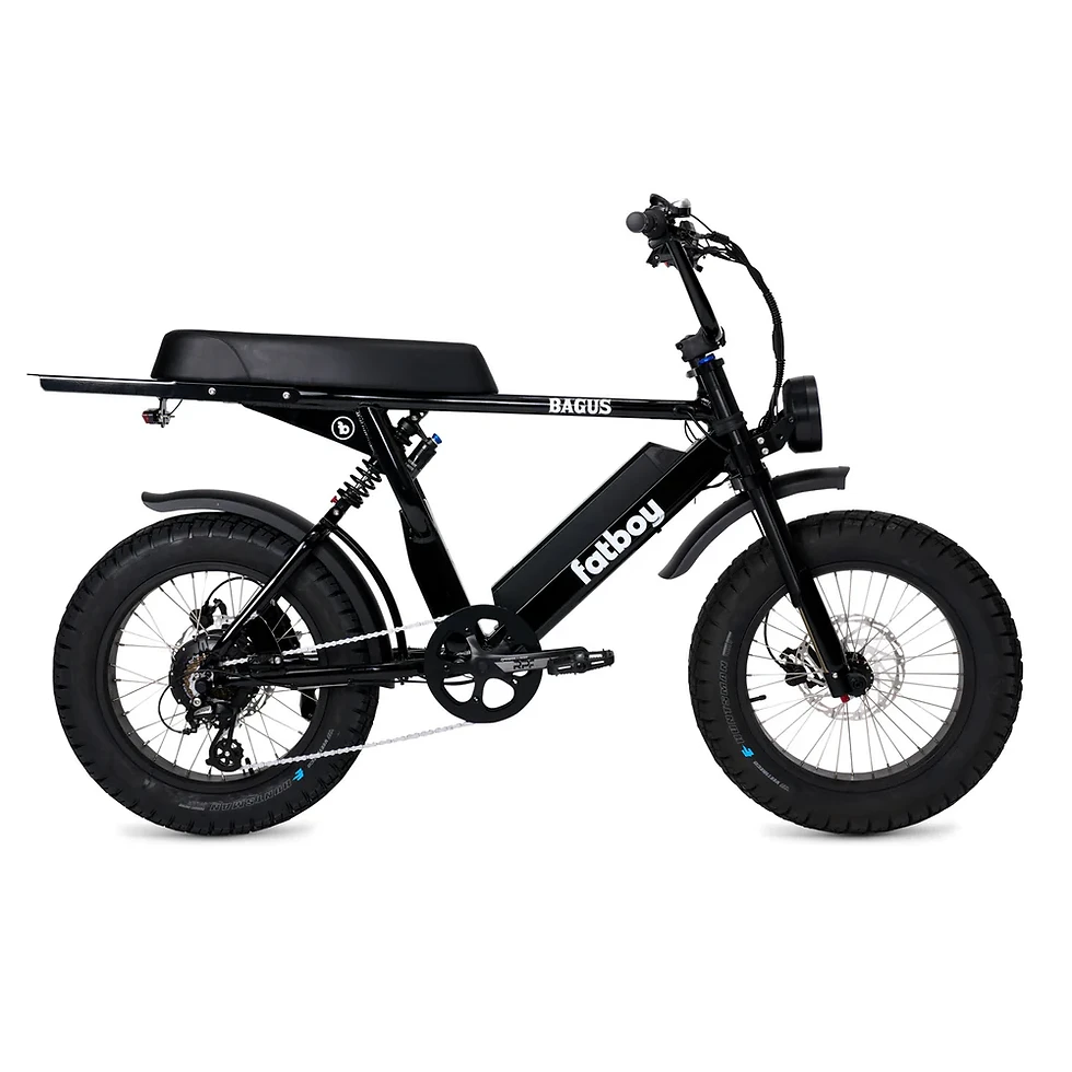 Thumbnail: The Bagus V2 eBike