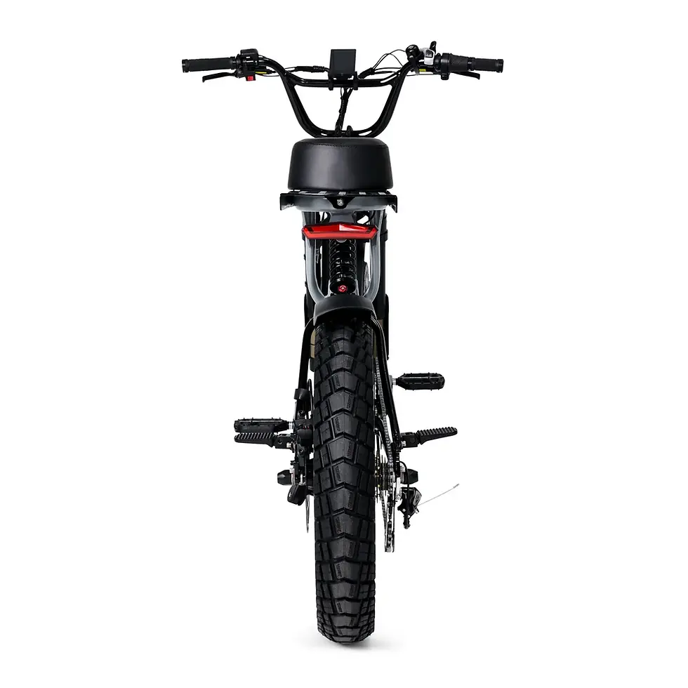Thumbnail: The Bagus V2 eBike