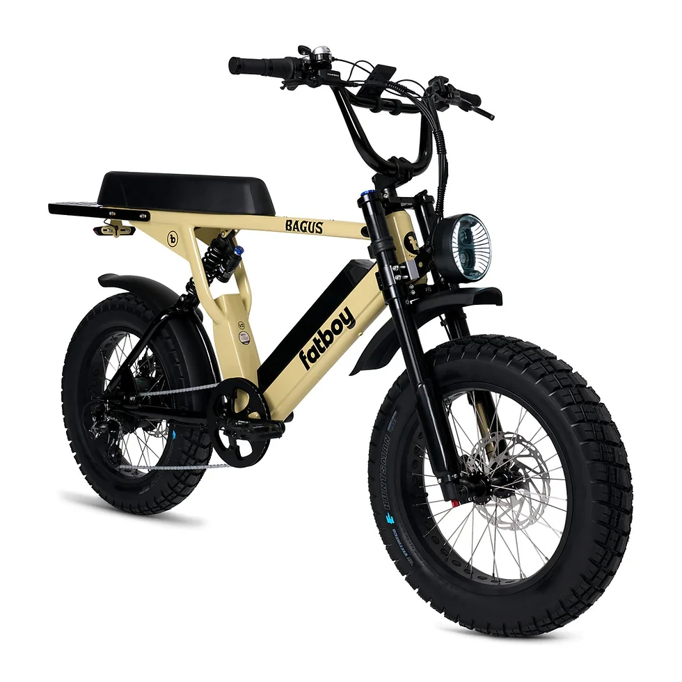 Thumbnail: The Bagus V2 eBike