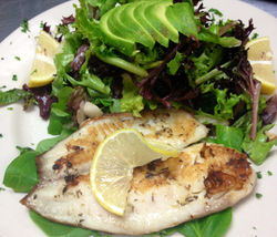 Grilled tilapia salad